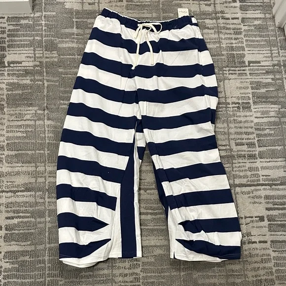 Free People Blue and White Striped Pants - Picture 4 of 4
